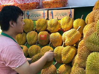 “水果之王”是否会征服中国市场？ 