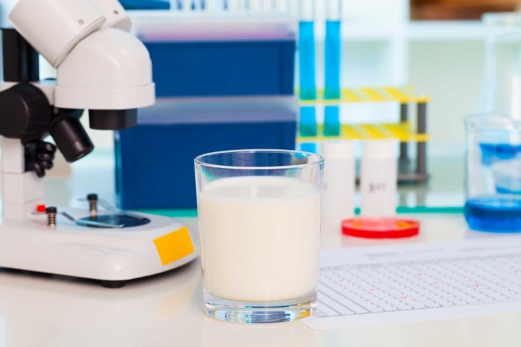TurtleTree Labs is producing milk in the laboratory using stem cells to create mammary gland cells that can lactate ?Getty Images