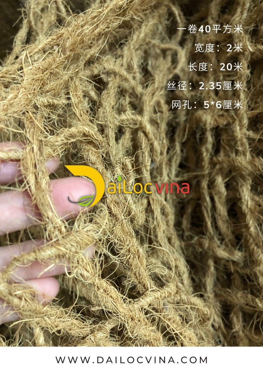 椰网-CF网-越南的椰网-椰丝网
