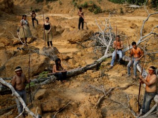 巴西亚马逊森林砍伐率飙升至15年来最高水平，削弱了政府的承诺 